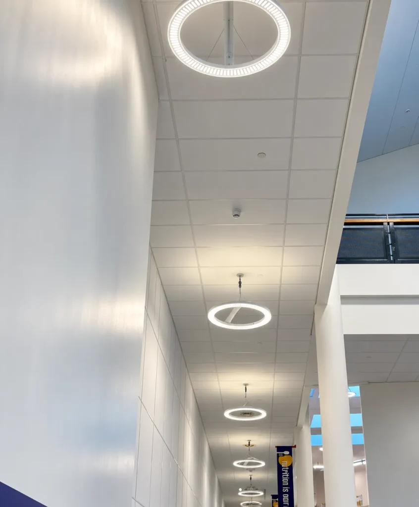 LED Lighting for Businesses: When Should You Consider an Upgrade?